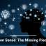Common Sense: The Missing Piece in AI